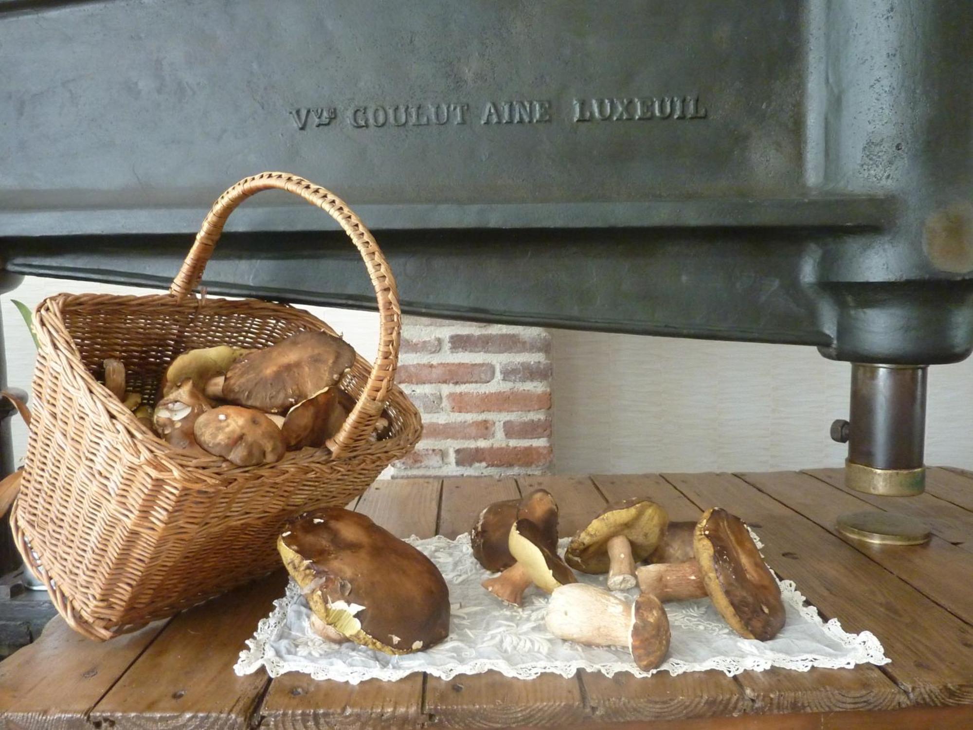Domaine De La Tannerie Chambres D'Hotes Et Appartements Prades  Εξωτερικό φωτογραφία